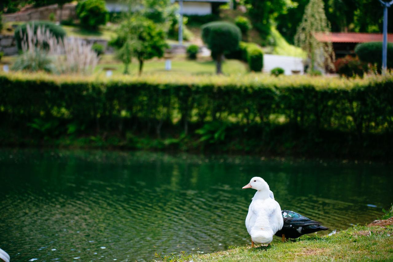 Quinta Do Rio Geres Villa Bouro Ngoại thất bức ảnh